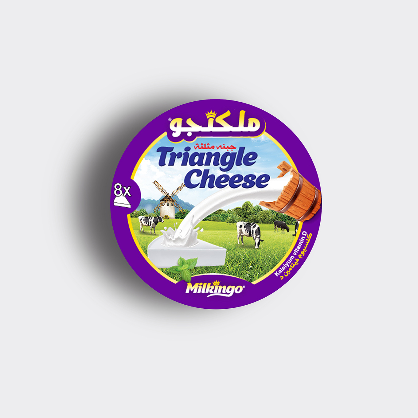 üçgen-peynir-kutu-tasarimi